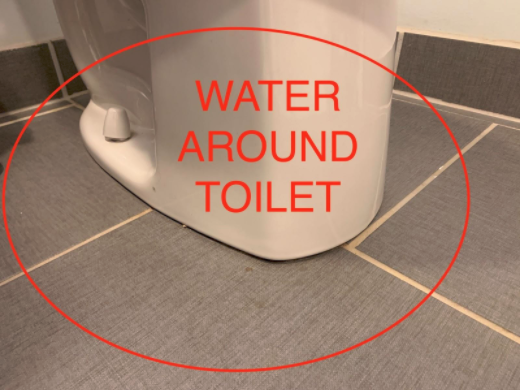 Water around toilet